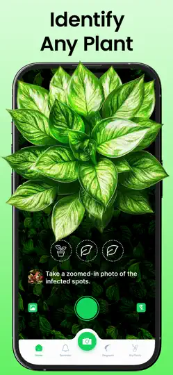 Plant Identifier * Plant Care iPhone Ekran Görüntüsü 1