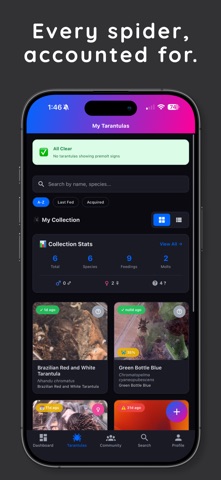 Tarantuverse iPhone screenshot