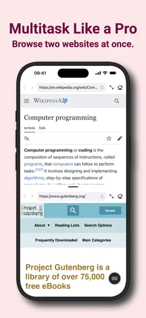 Split Screen Web Browser screenshot 2