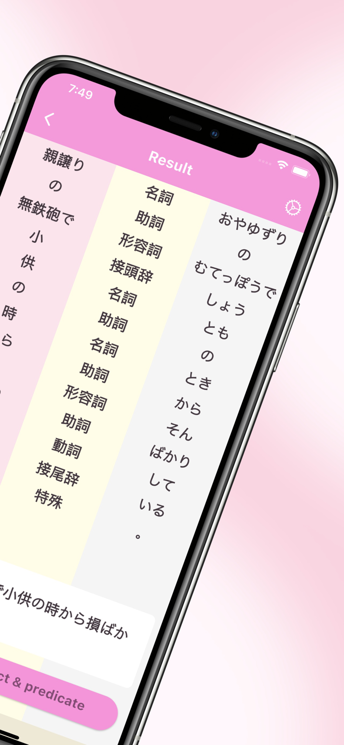 Japanese Part of Speech Camera