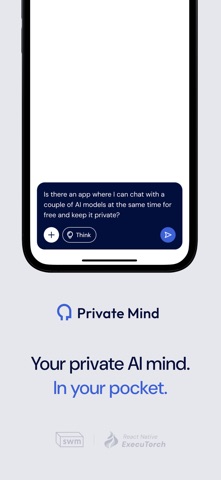 Private Mind screenshot