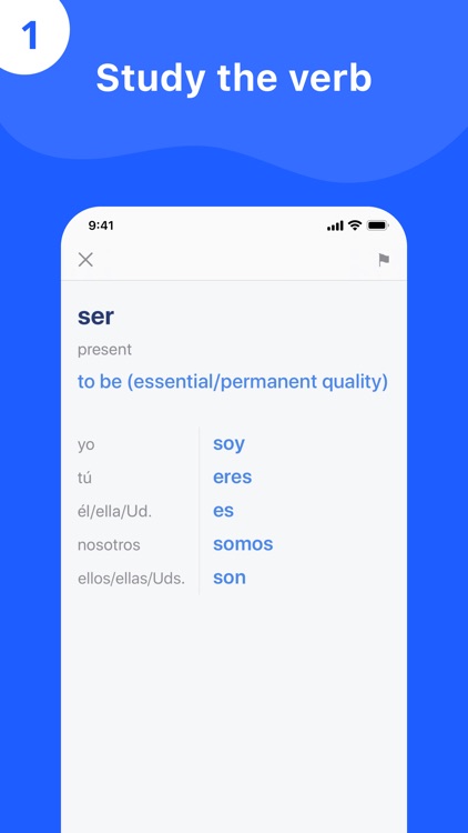Learn Spanish Conjugation Dojo screenshot-4