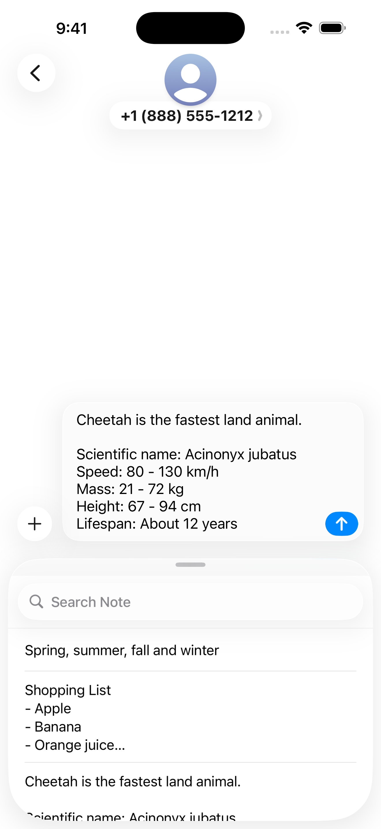 Cheetah Note
