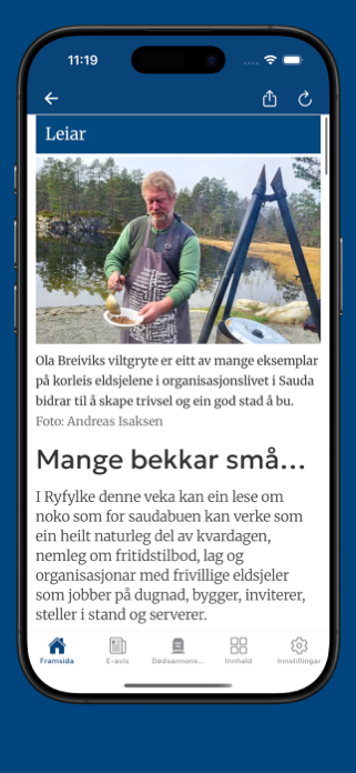 Ryfylke Screenshot 2 of 5