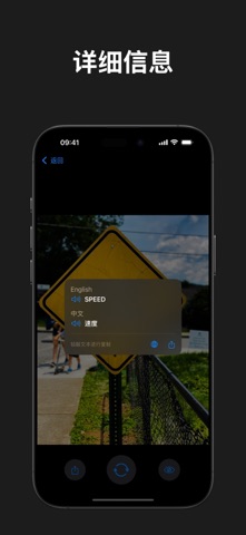 VI Translator screenshot