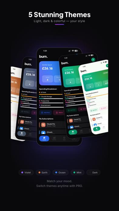 Subscription Tracker: Burn screenshot 6
