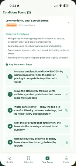 Screenshot von FloraHaven - Plantify auf dem iPhone 6