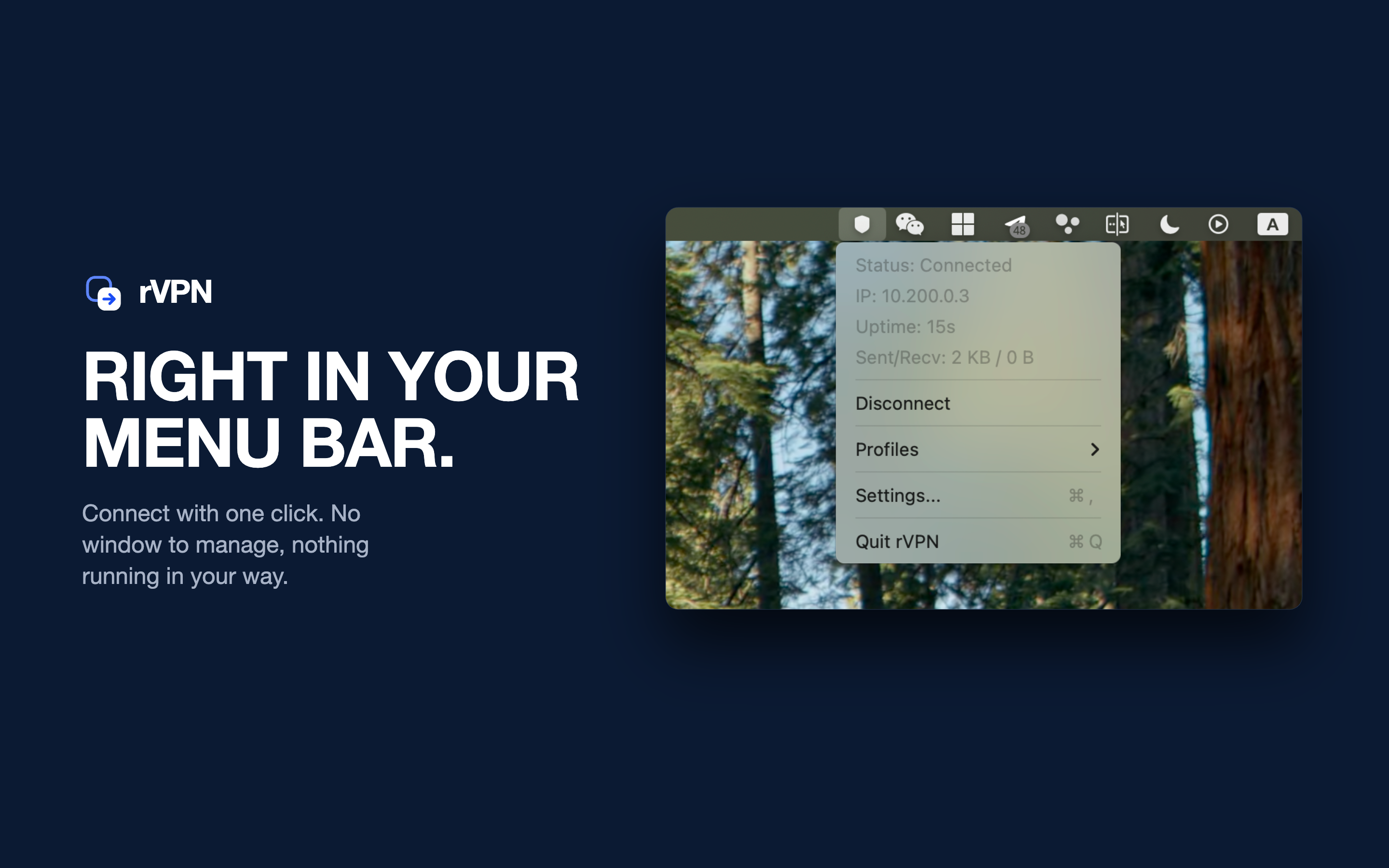 rVPN screenshot 10