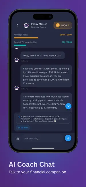 Penny Echo AI Finance Tracker screenshot 3