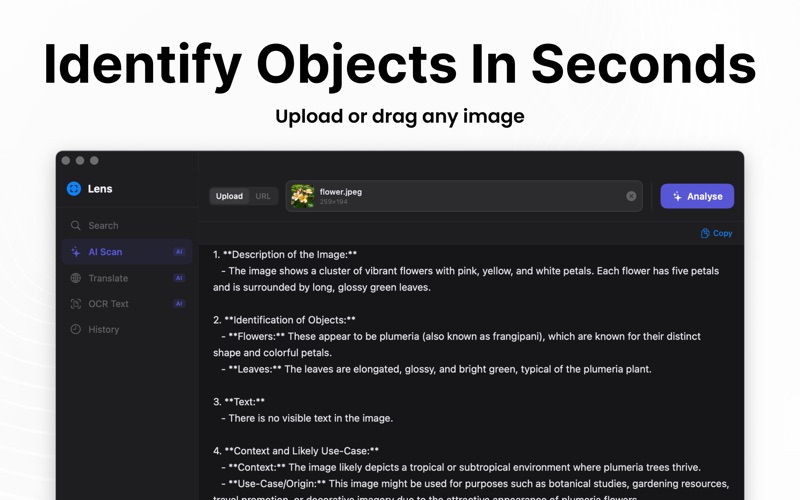 Reverse Image Search AI iPhone screenshot