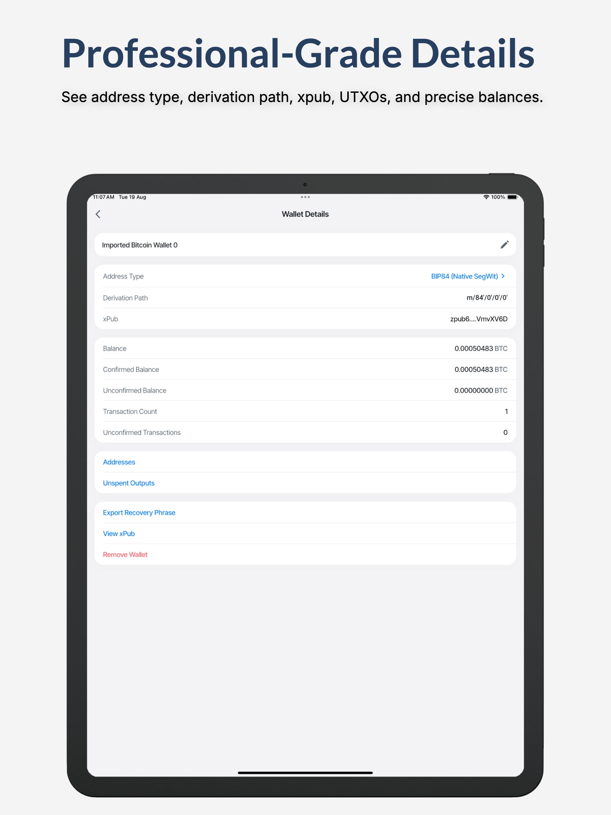 RuieBit: Bitcoin Wallet - BTC screenshot 15