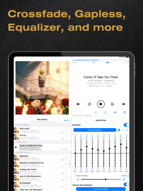 BTR AMP Advanced Music Player iPad screenshot 7 - Music app