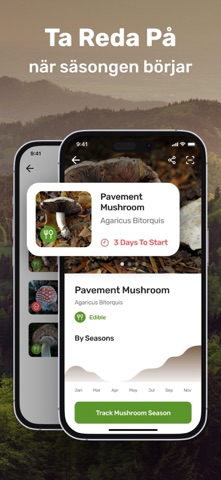 Mushroom ID Picture Identifier iPhone screenshot 4