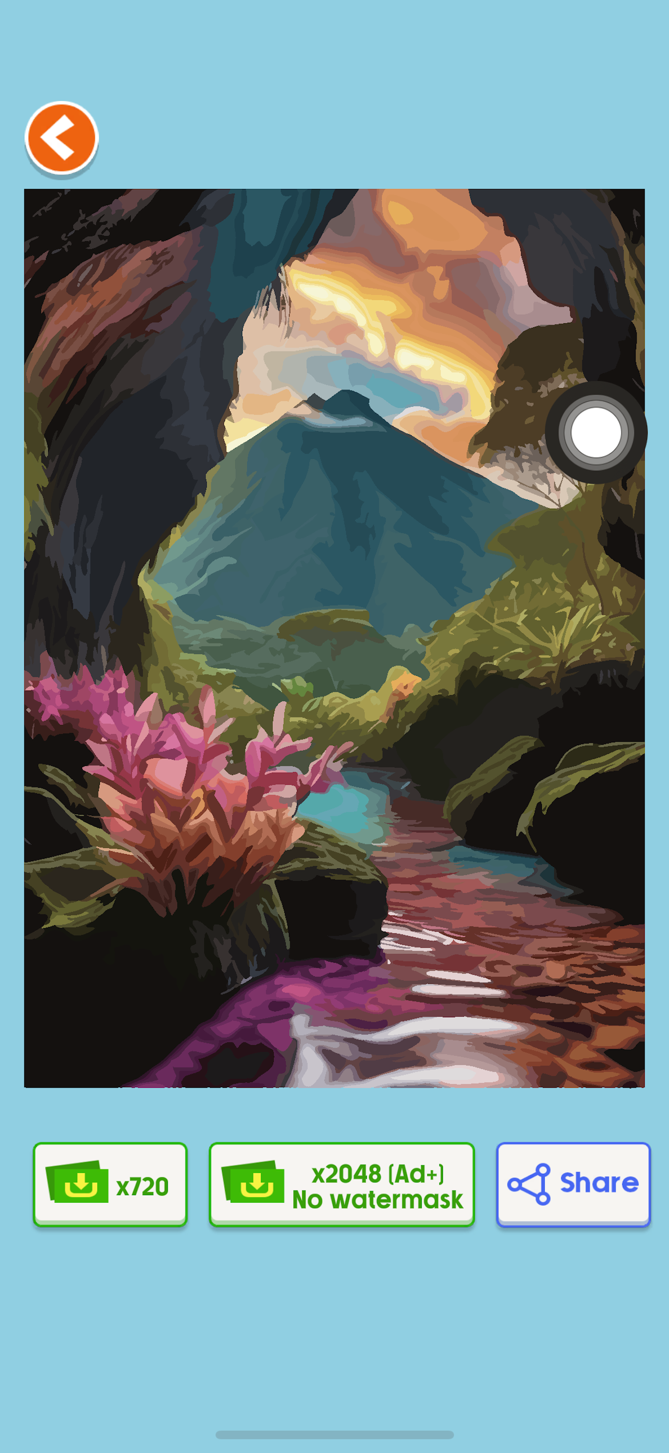 Color By Number - Oil Color