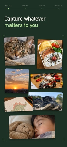 Everyday Camera: Photo a Day screenshot