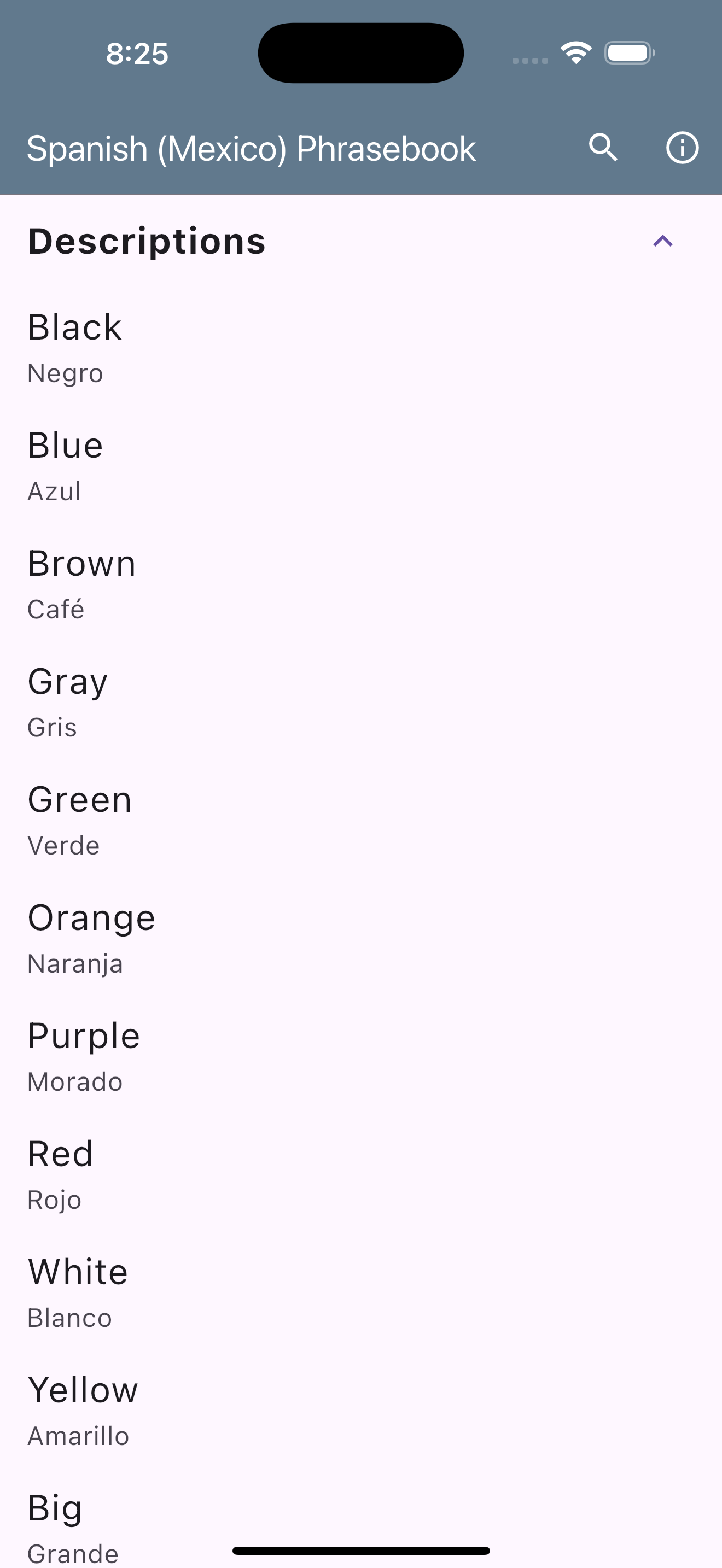 Spanish (Mexico) Phrasebook screenshot 9