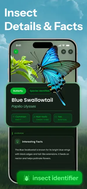 Bug Identifier- Scan Insect ID screenshot 3