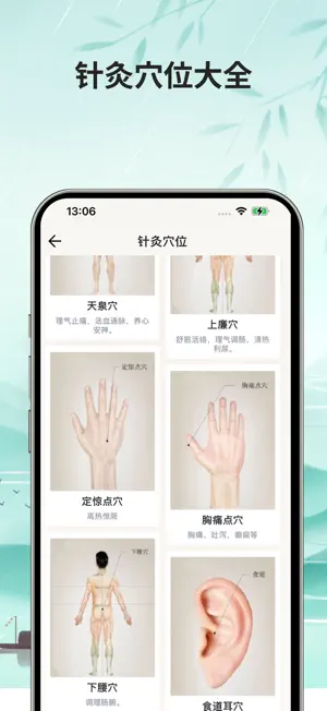 本草中医离线版-人体穴位图针灸中药方剂药膳食疗健康食谱大全 screenshot 4
