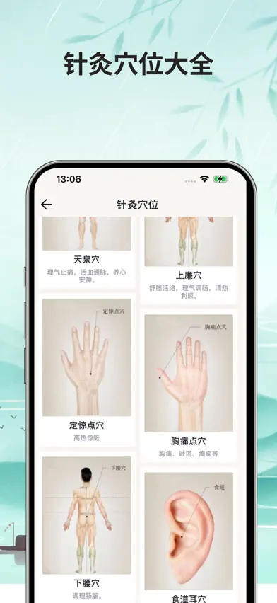 本草中医离线版-人体穴位图针灸中药方剂药膳食疗健康食谱大全 screenshot 4