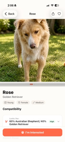 Chunk: Pet Adoption & Health iPhone screenshot
