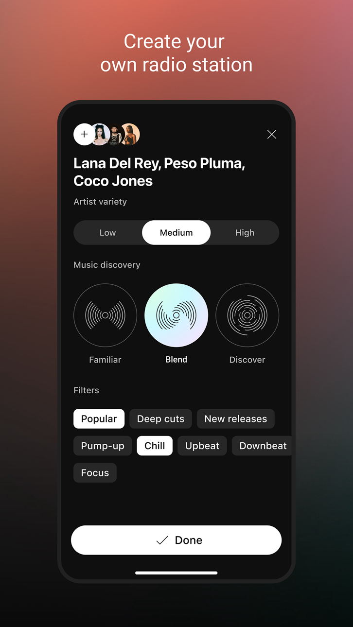 YouTube Music Ultimate screenshot 1 - iOS app interface