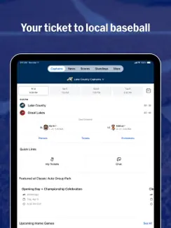 MiLB iPad image 1
