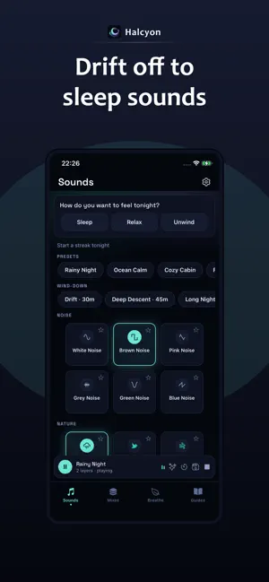 Halcyon: Brown & White Noise screenshot 1