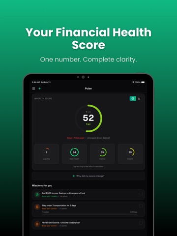 Whealth: AI Personal Finance iPad screenshot