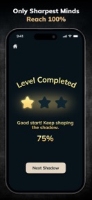Shadow Puzzle: Brain Challenge screenshot