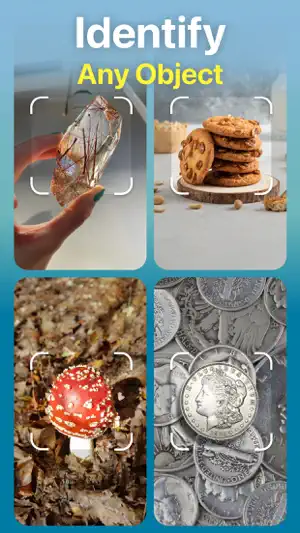 Identify Anything AI Scanner screenshot 1