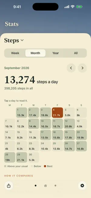 Wayfarer: Simple Step Counter screenshot 4