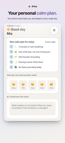 Anvy iPhone screenshot