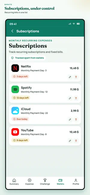 Birikte: Family Budget Expense screenshot 2