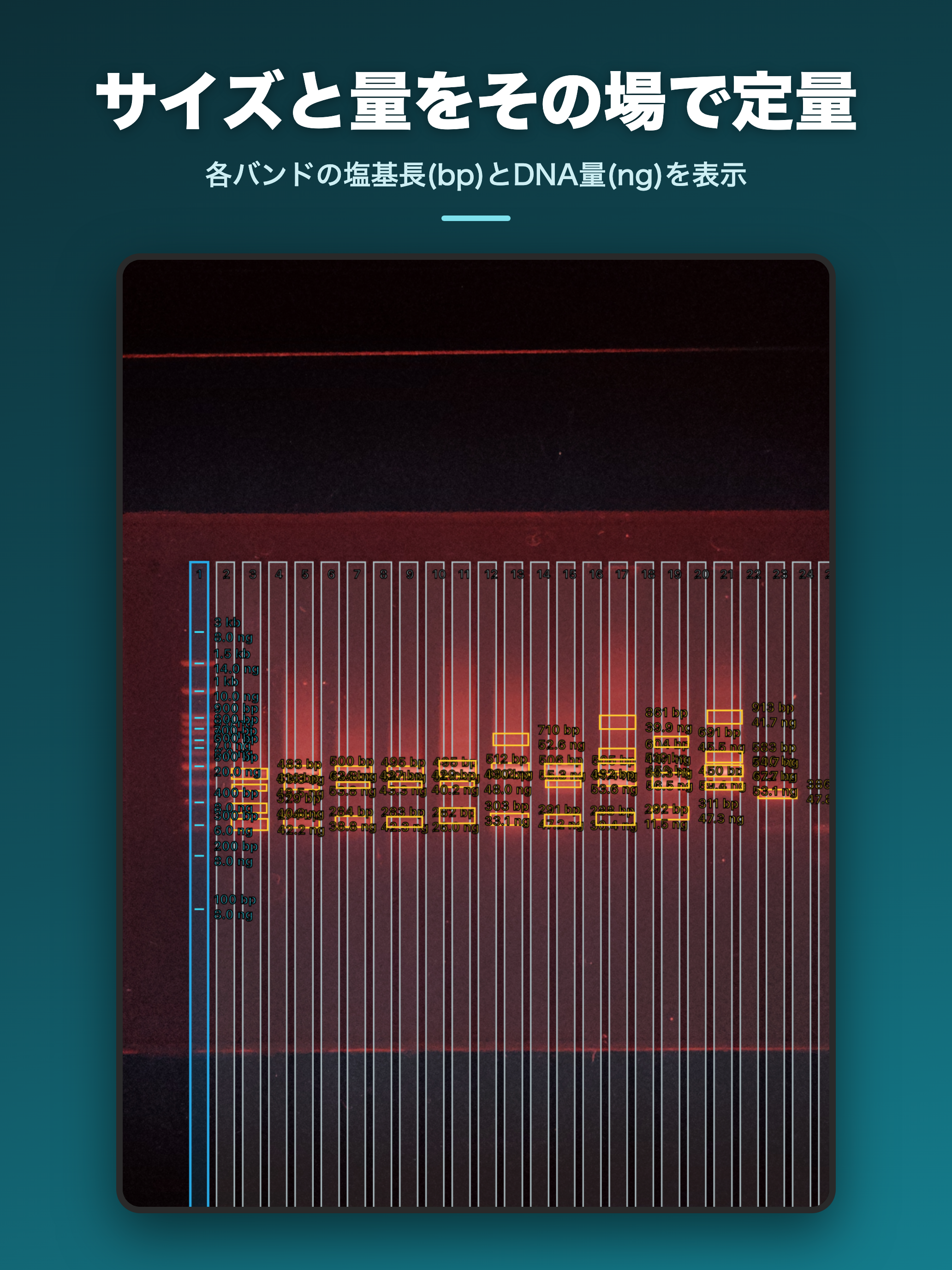 BandCamera screenshot 5