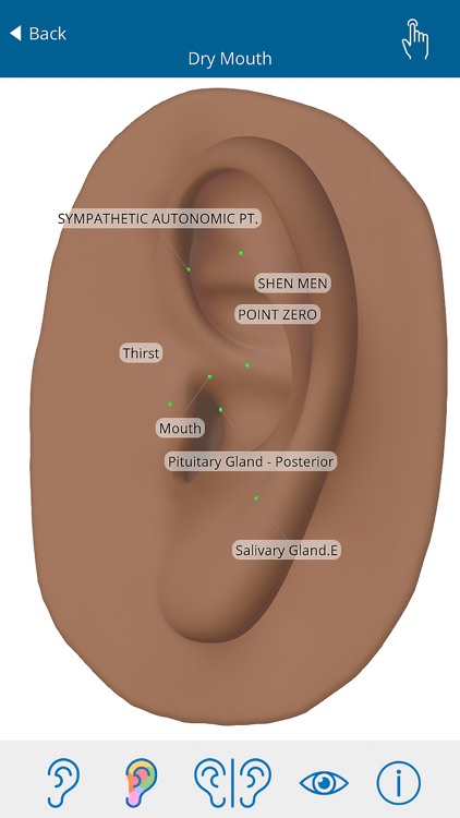 Auriculo 360 - The Living Ear screenshot-4