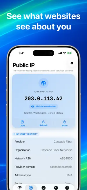 Netgleam • Network Check screenshot 4