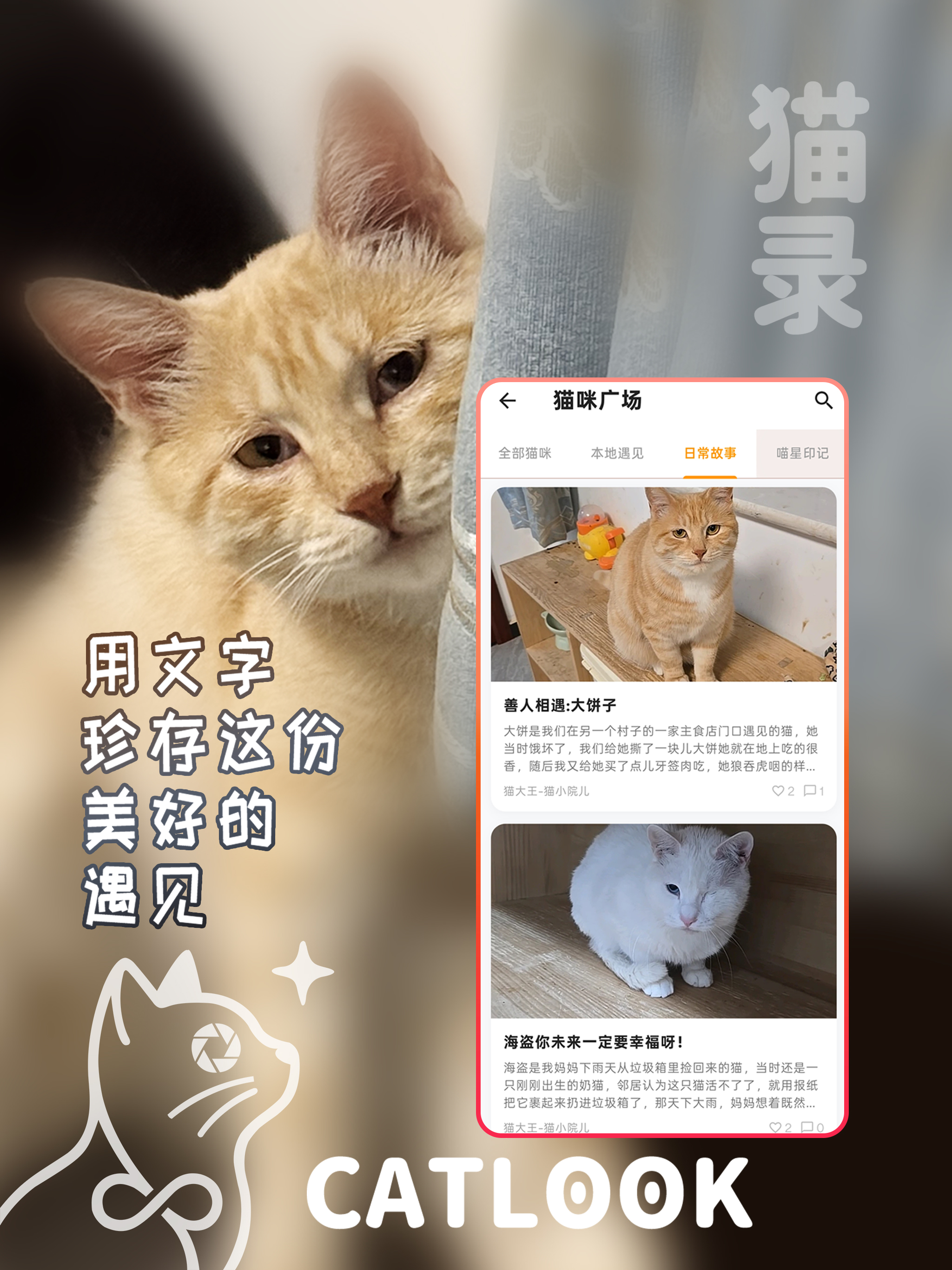 猫录 - 流浪猫遇见救助记录守护