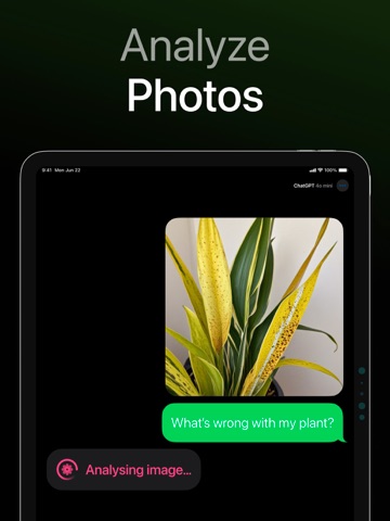 AI Chat for Gemini & Claude iPad screenshot