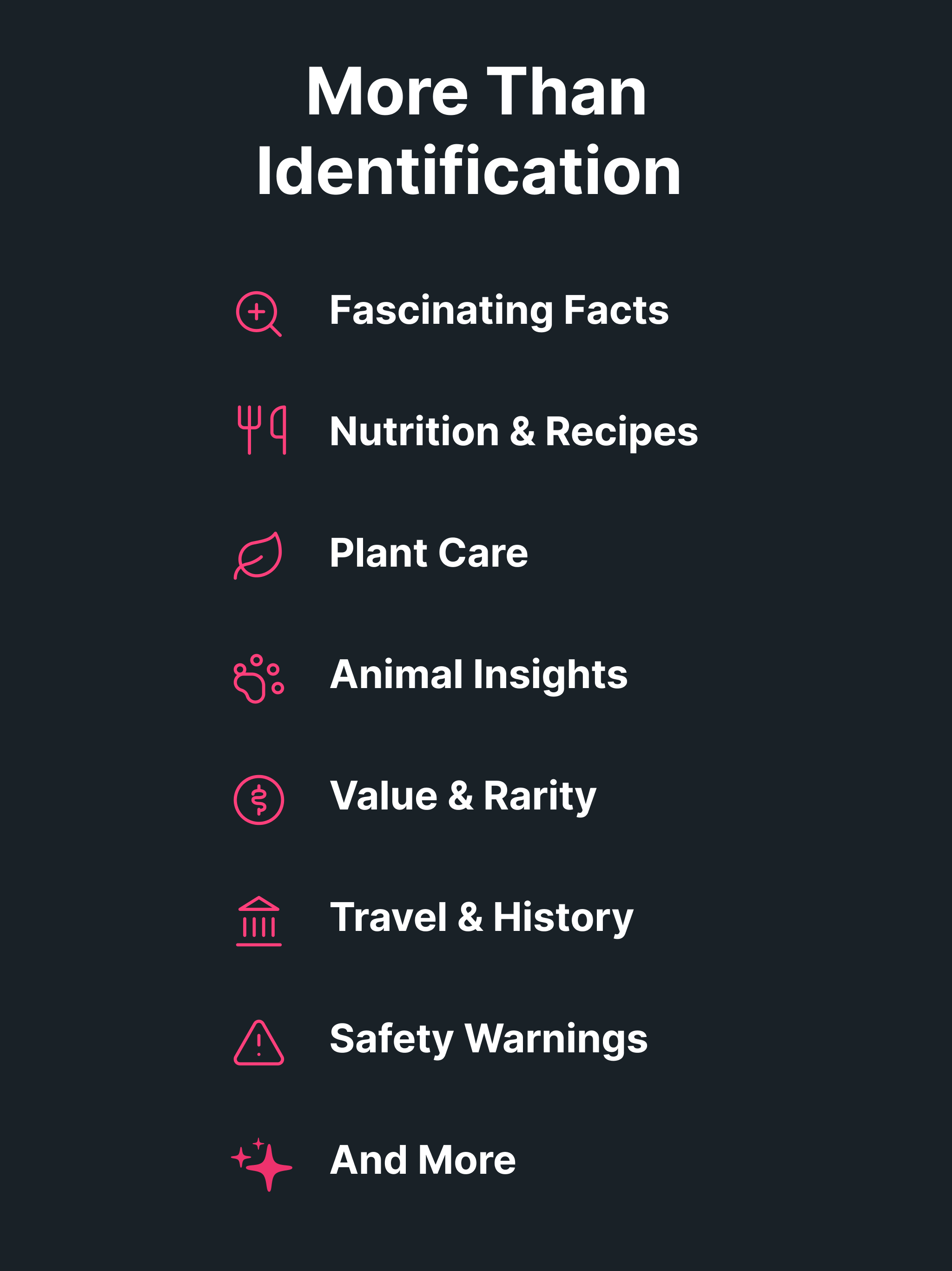 Identify This: AI Identifier screenshot 19