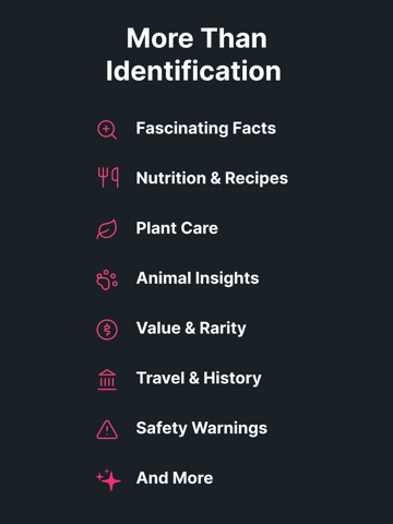 Identify This: AI Identifier iPad screenshot