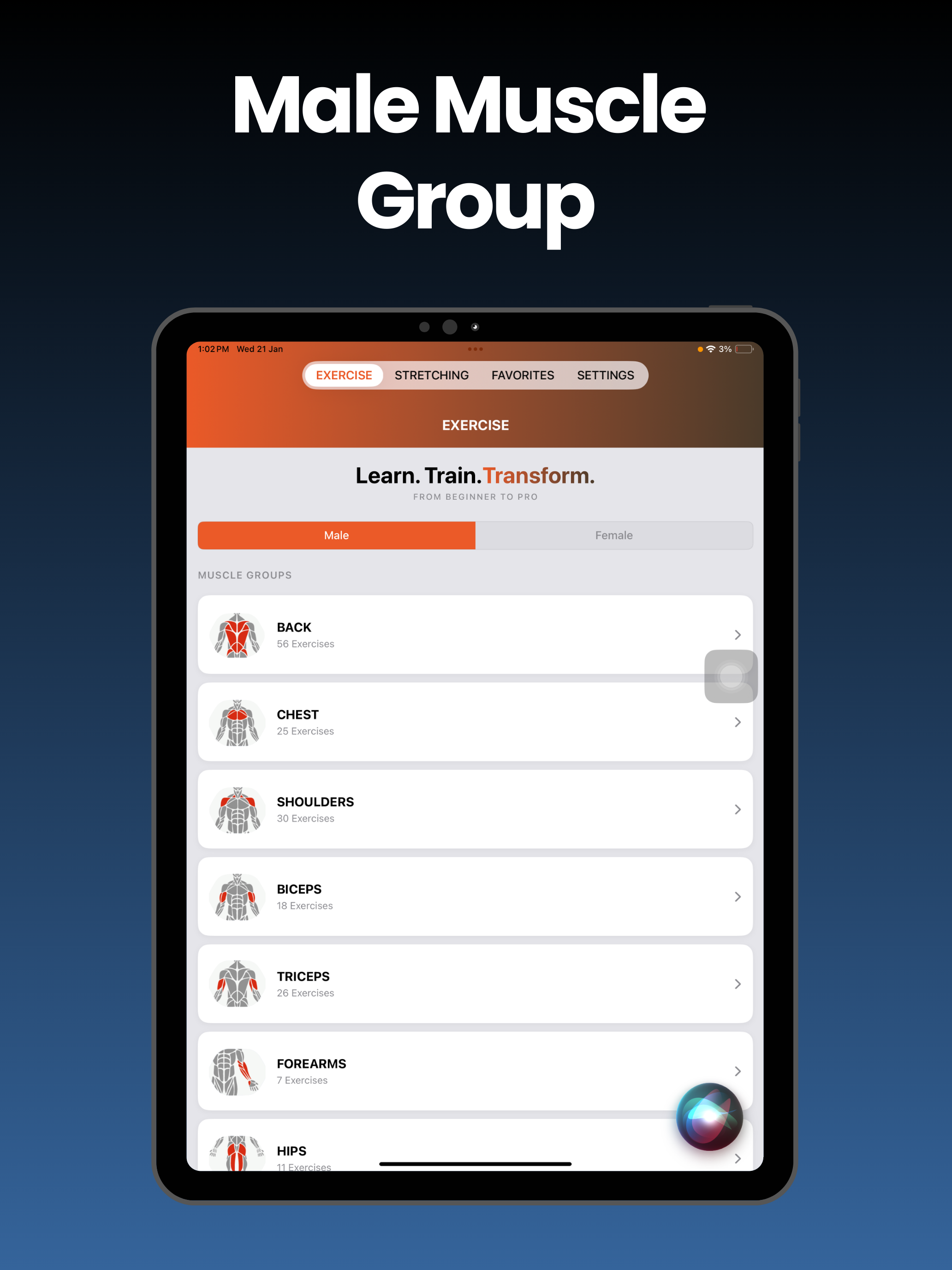 Gym Workout - Fitness Club Lab screenshot 13