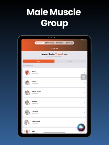 Gym Workout - Fitness Club iPad screenshot