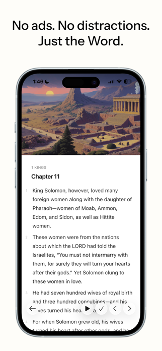 Scripture - Audio Bible Reader Screenshot 4 of 4