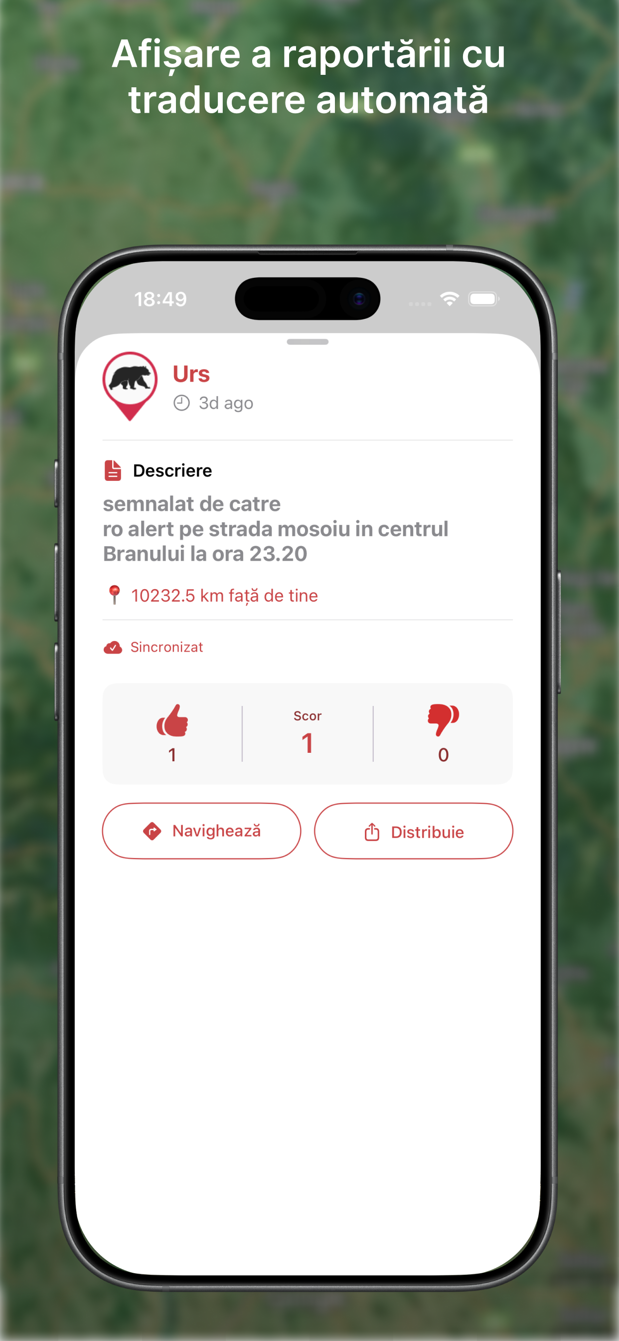 RO-BEAR screenshot 2