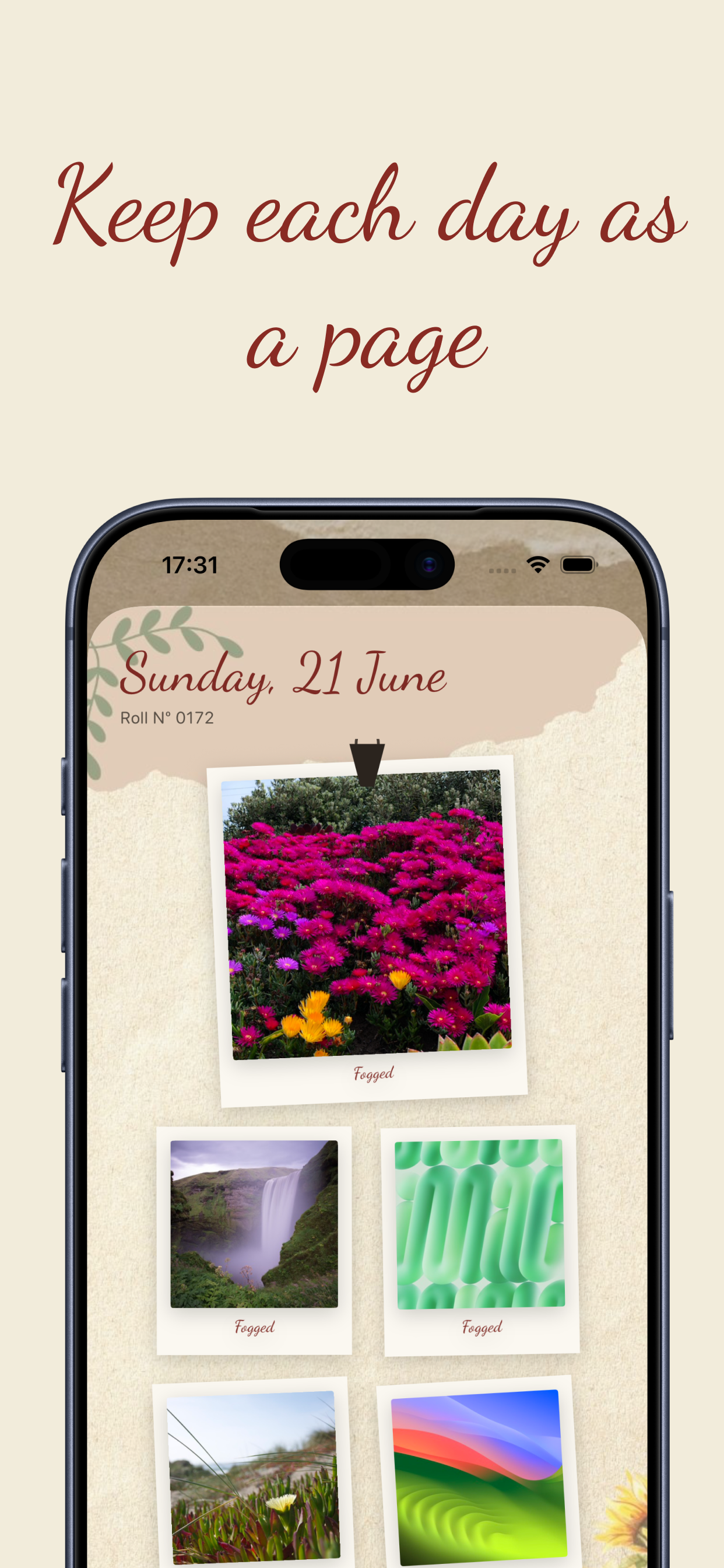 Shoebox: Where & When