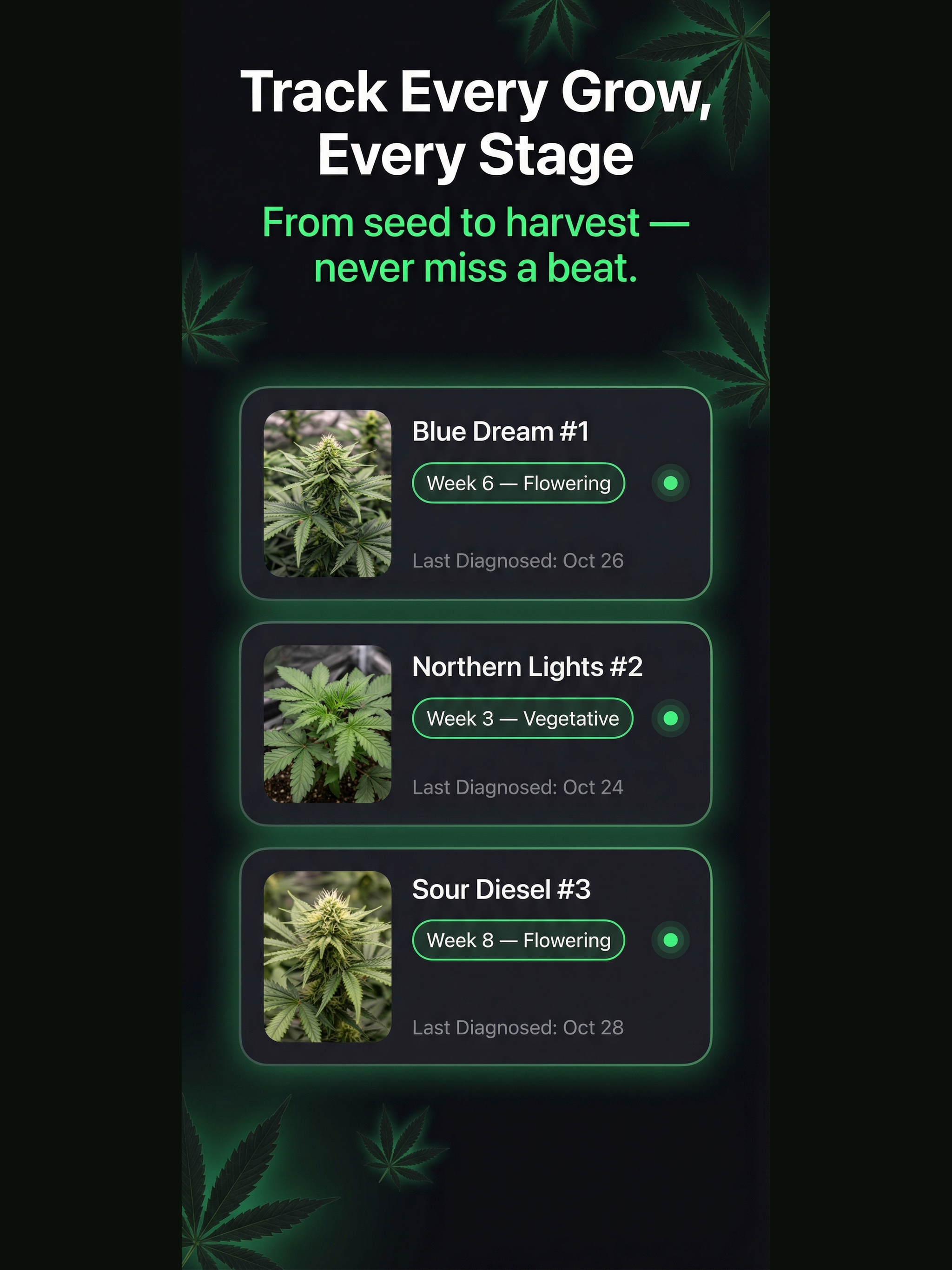 DankBot: Cannabis Grow Journal