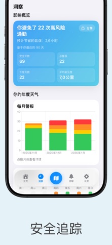 DriveSafe：雾与雪 screenshot