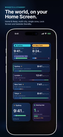 Time Zone Buddy Screenshot 6 of 9