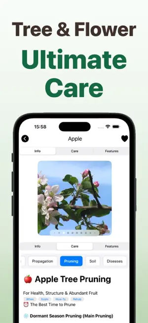Forest Tree Identifier screenshot 4