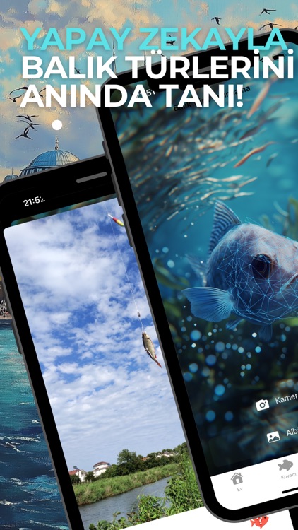 Balık Avı - İstanbul Balık Avı